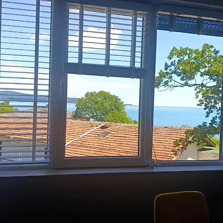 весела ваканция Daire *